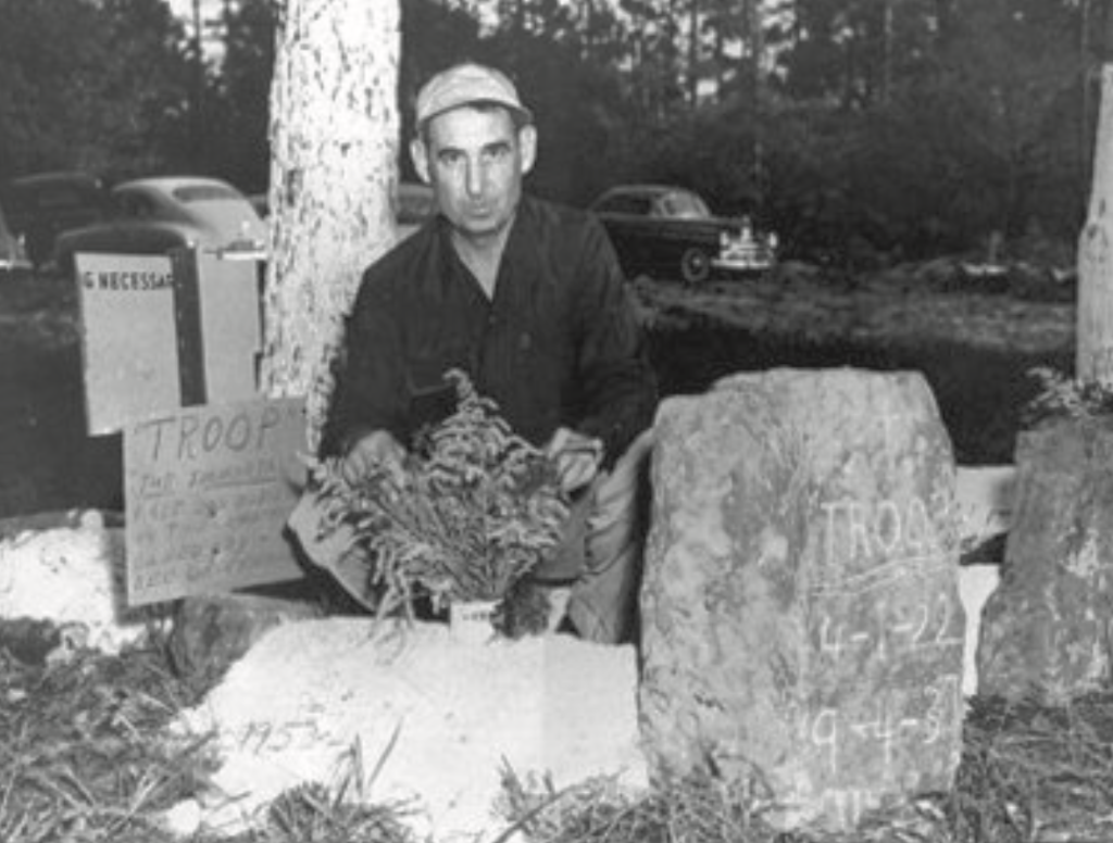 Farragut Life Magazine Farragut Life